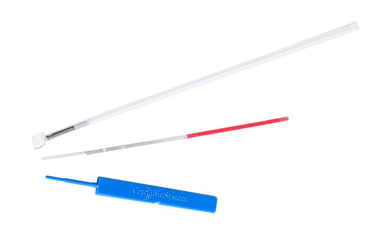 hsv-straws_mbt